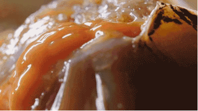 微信图片_20190506163148.gif