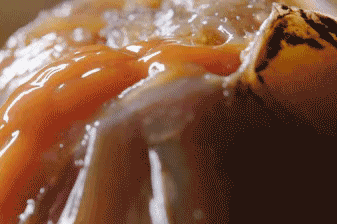 微信图片_20190506163656.gif