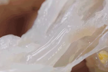 微信图片_20190506163700.gif