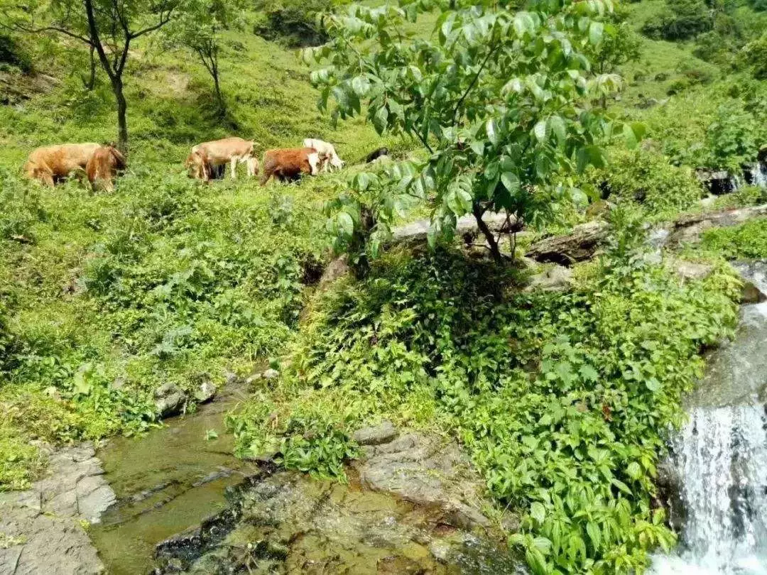 微信图片_20190507151204.png